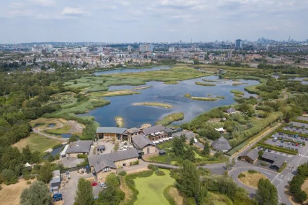 With 75% of the UK’s wetlands lost, WWT London calls on local supporters to help wetlands thrive