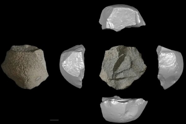 Lingjing artifact Homo juluensis
