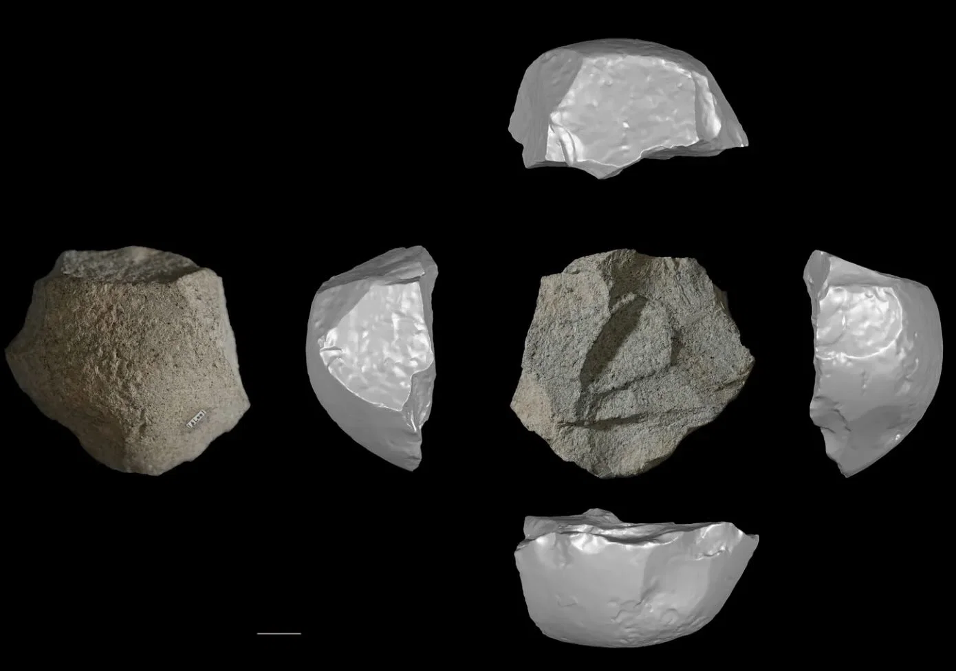 Lingjing artifact Homo juluensis