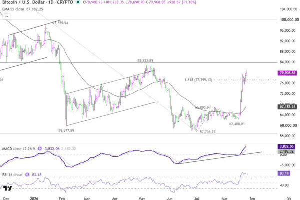 Bitcoin Breaks $80K—Can Two Catalysts Carry It Back to $100K?
