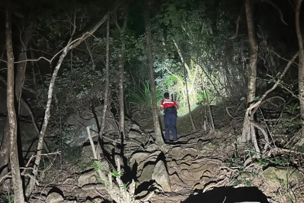 Elderly hiker found dead on Sha Tin mountain trail after 3-day search