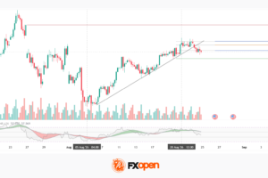 WTI Analysis: Attempted Uptrend Breakout Without Momentum Confirmation