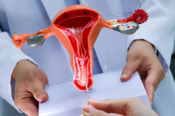 More checks for embryo biopsies, overhaul reproductive tech law, DAB urges