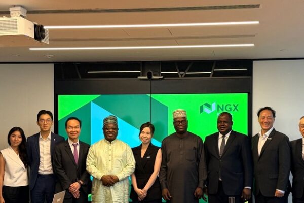 Nigeria targets Chinese companies for dual listings as it seeks deeper ties with Hong Kong investors