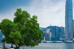 Opinion | Hong Kong lacks a climate narrative to unify its efforts