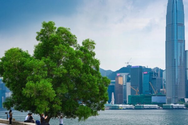 Hong Kong aims to raise zero-carbon energy share of fuel mix to 30% by 2030