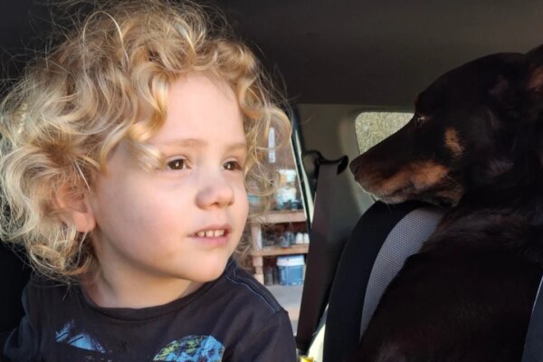 Police have scoured 60,000 hectare in search for Gus Lamont.
