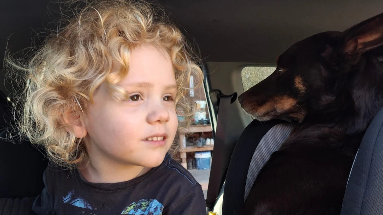 Police have scoured 60,000 hectare in search for Gus Lamont.