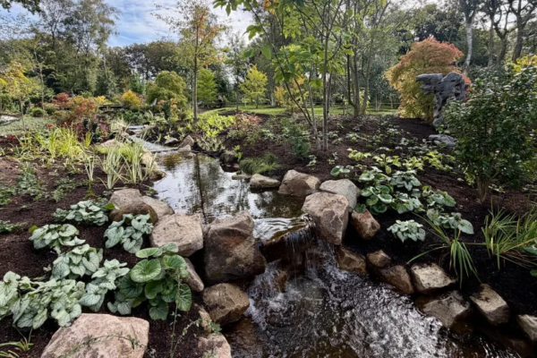 Flowers and shrubs and rocks by a water feature in the garden