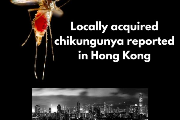 Hong Kong reports 1st locally acquired chikungunya case of 2026
