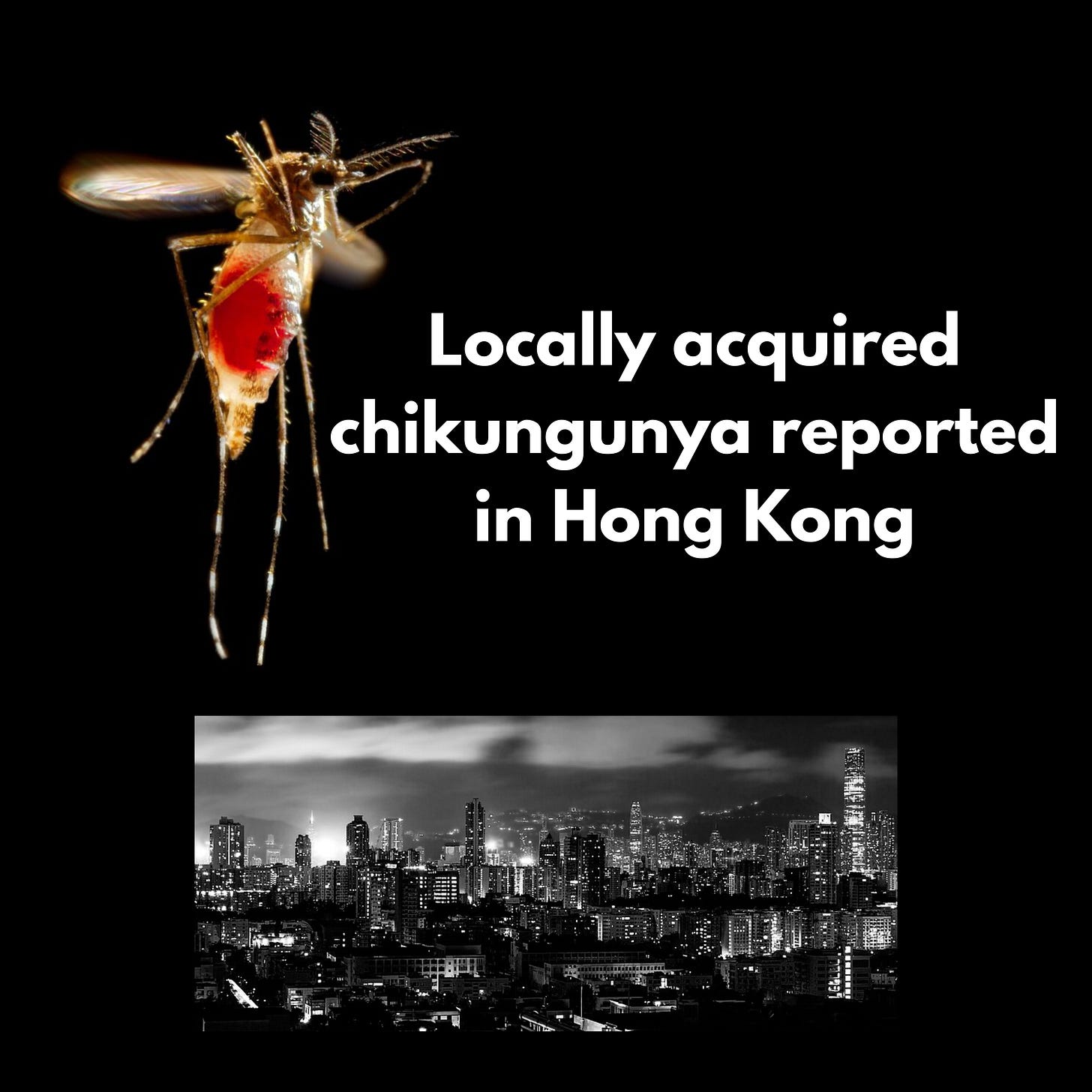 Hong Kong reports 1st locally acquired chikungunya case of 2026